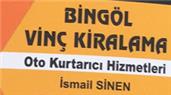 Bingöl Vinç Kiralama - Bingöl